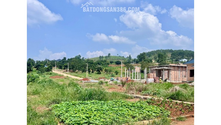 Cần Bán Đất 393m², 210m² Đất Ở, 2 Mặt Tiền, Thế Đất Vuông Vức